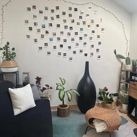 Casa San Paolo * Πινερόλο